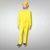 Dumb and Dumber Yellow Suits
